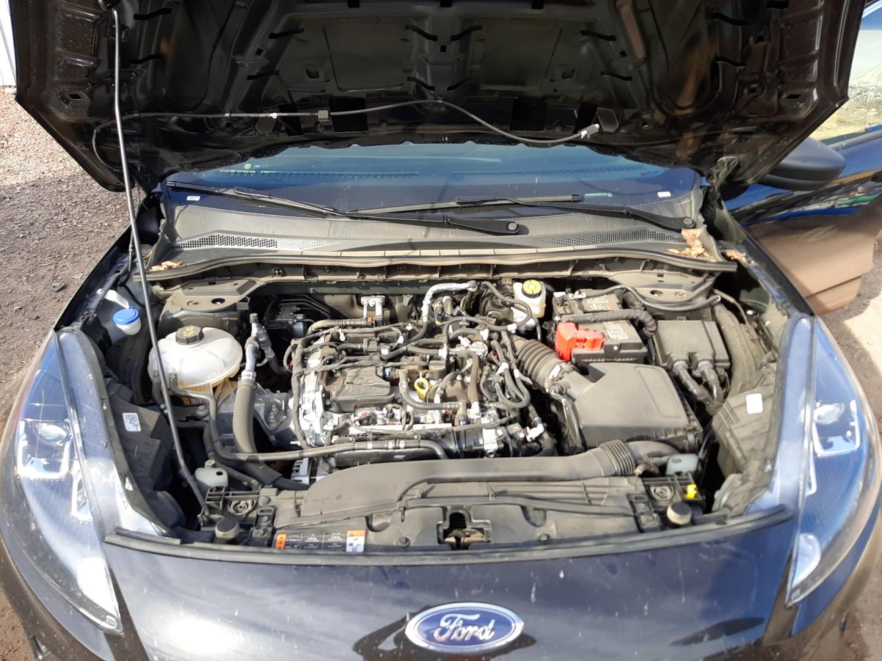 1FMCU0G64NUA71516 FORD ESCAPE 2022
