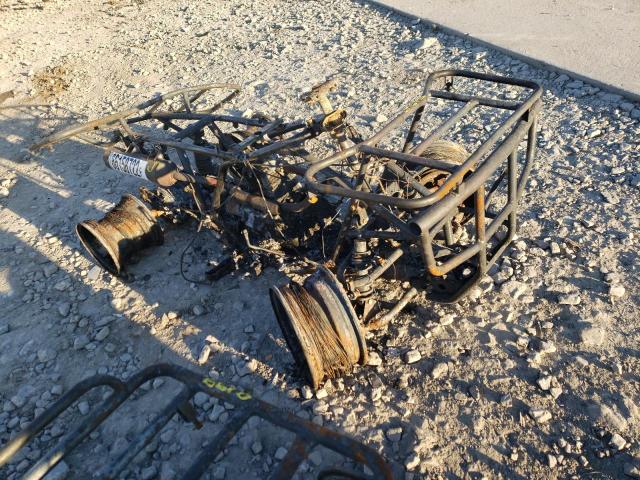 2001 HONDA TRX250 478TE210214118330