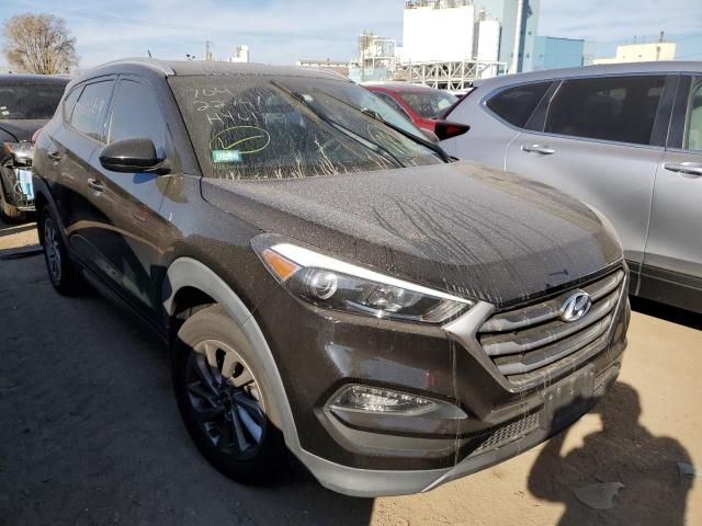 2016 HYUNDAI TUCSON LIM - KM8J33A42GU143724
