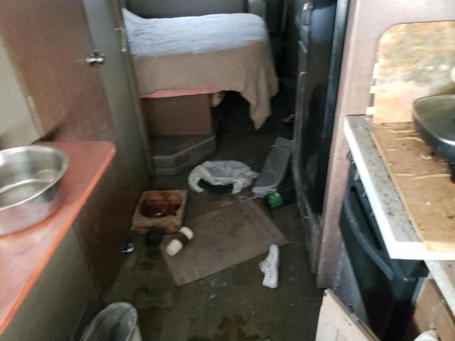 2019 FORD WINNEBAGO 1F65F5DYXJ0A18334