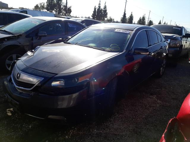19UUA8F59CA004869 Acura TL