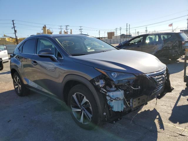 2020 LEXUS NX 300 - JTJGARBZ1L2177349