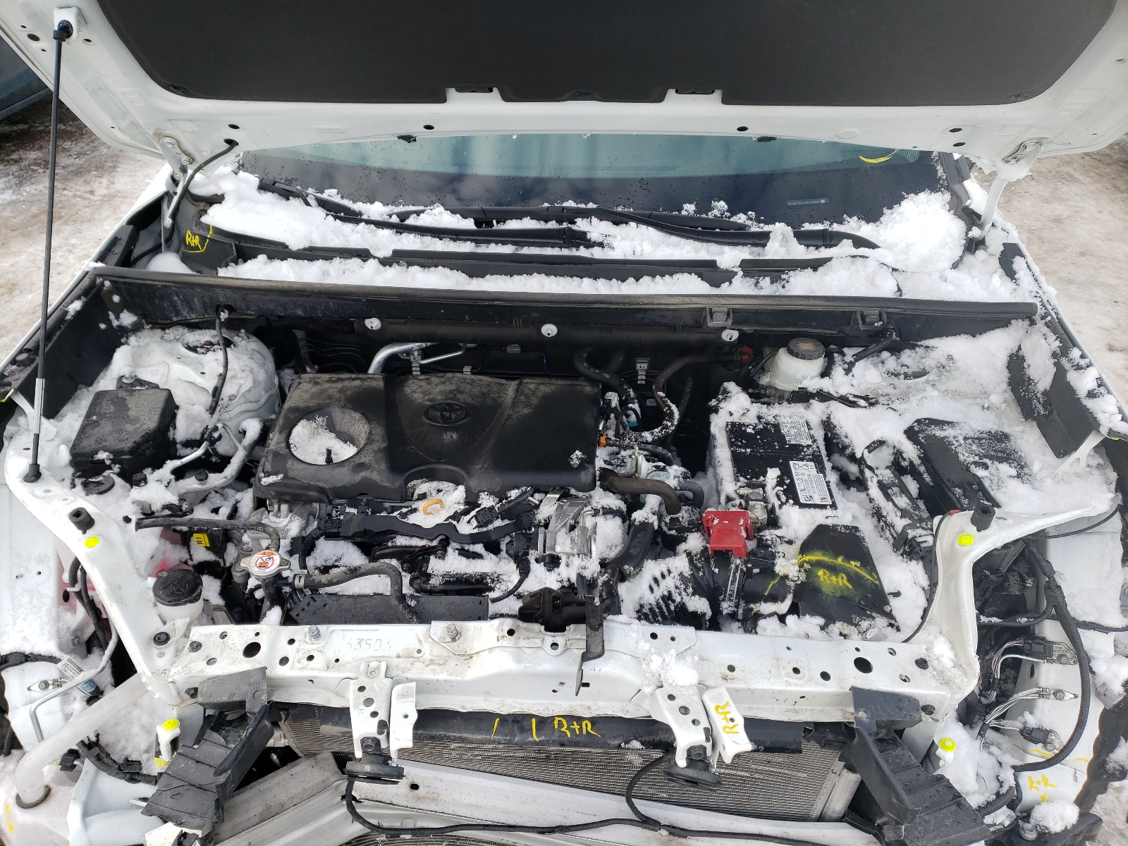 2T3B1RFV2MC176886 2021 Toyota Rav4 Le