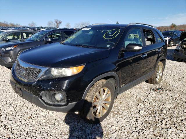 5XYKTDA26BG065570 | 2014 KIA SORENTO