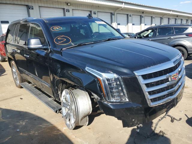 Salvage cars for sale at Louisville, KY auction: 2019 Cadillac Escalade P