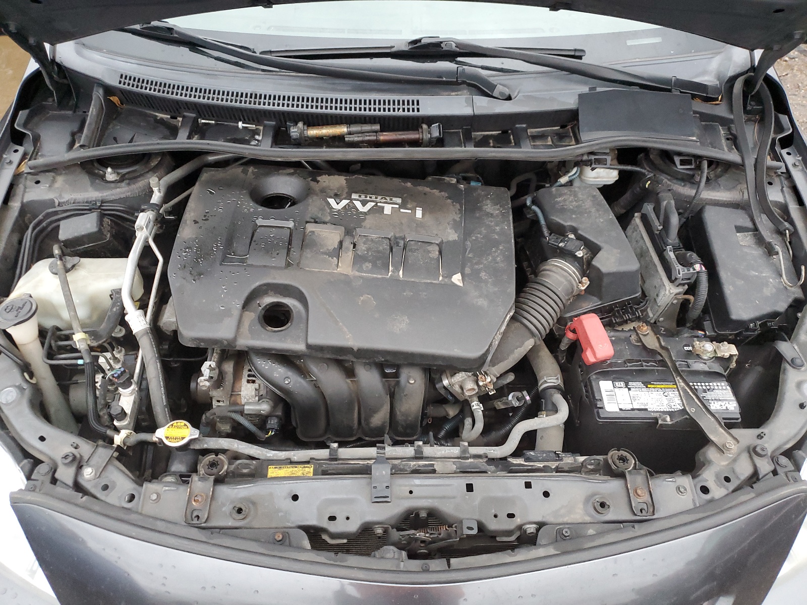 1NXBU40E29Z111764 2009 Toyota Corolla Base