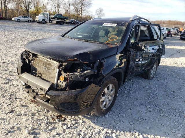 Salvage cars for sale from Copart Cicero, IN: 2011 KIA Sorento BA