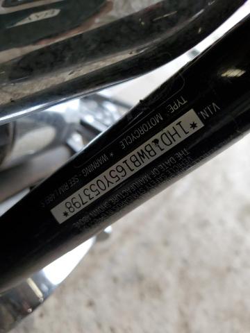 2005 HARLEY-DAVIDSON FLSTCI 1HD1BWB165Y053798