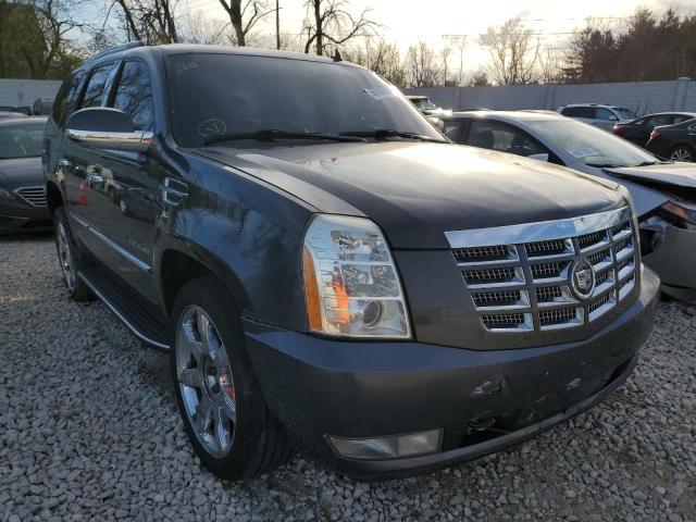 2011 Cadillac Escalade 