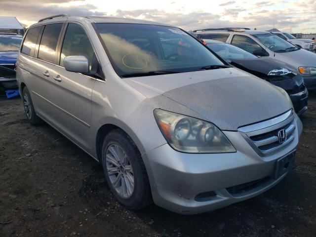 Salvage cars for sale from Copart San Martin, CA: 2005 Honda Odyssey EX
