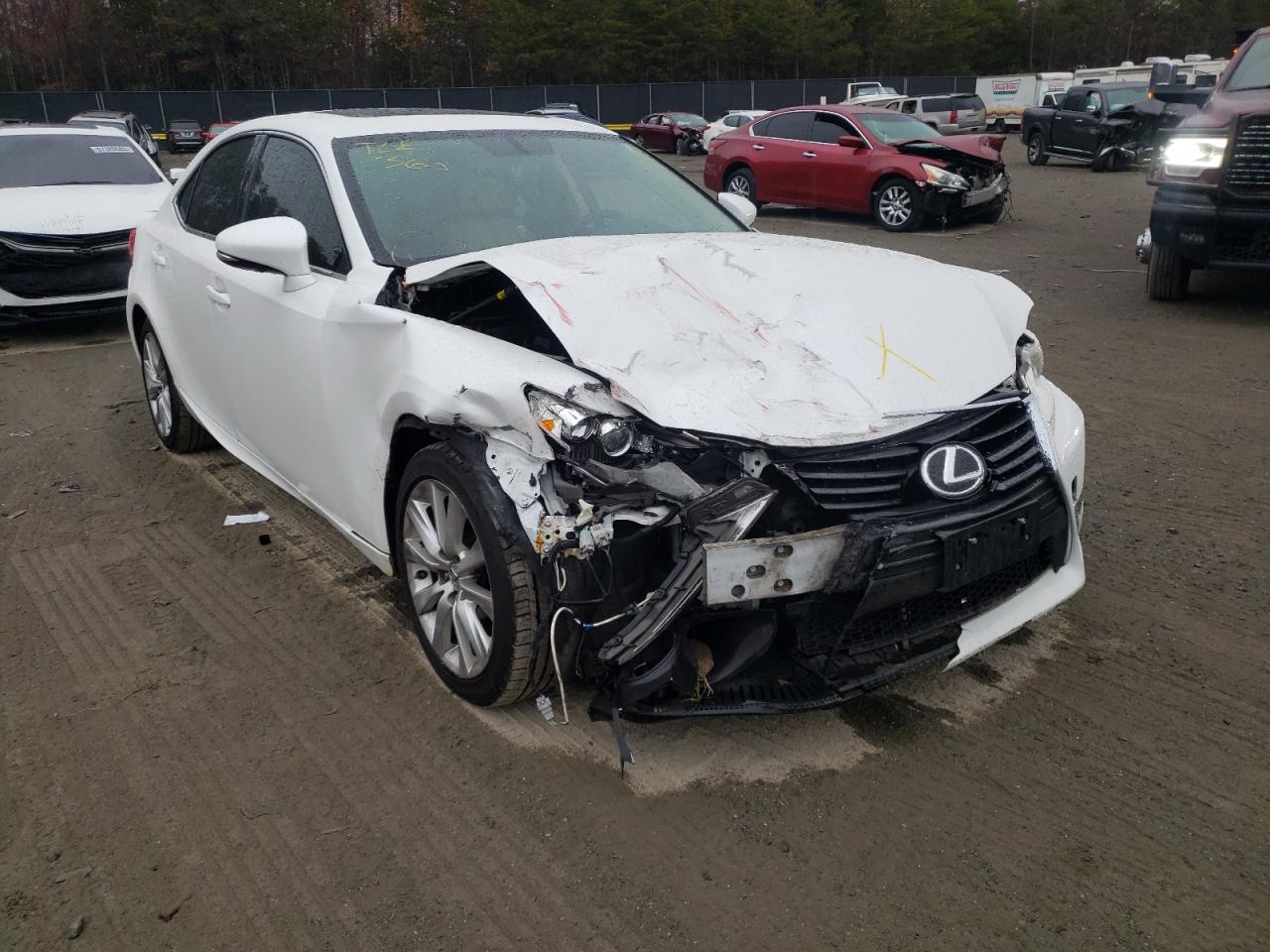 Lexus IS