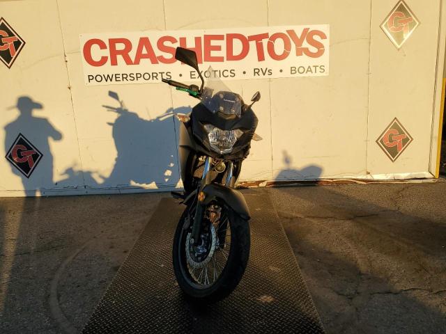 2019 KAWASAKI KLE300 B JKALE8B14KDA01924