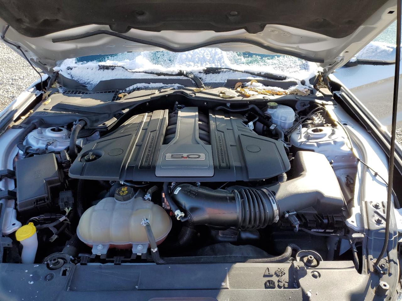 1FA6P8CF5J5163421 FORD MUSTANG 2018