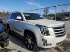2015 Cadillac Escalade Luxury للبيع في Bridgeton، MO - All Over