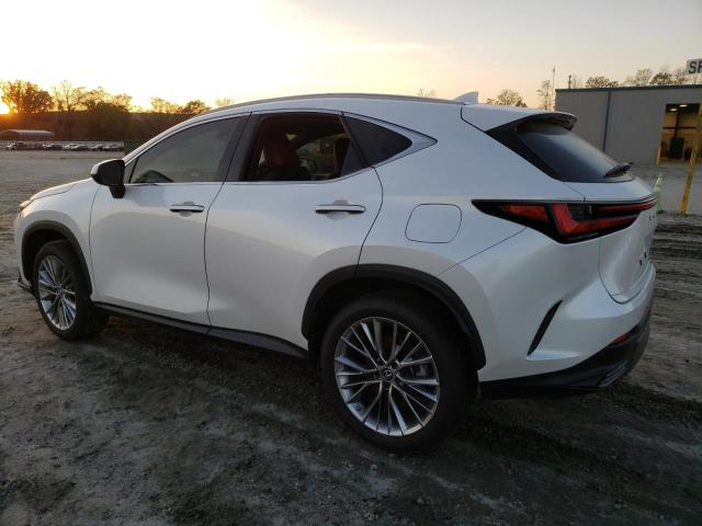 2022 LEXUS NX 350H 2T2GKCEZ4NC003333