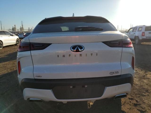 2022 INFINITI QX55 ESSEN 3PCAJ5K34NF114002