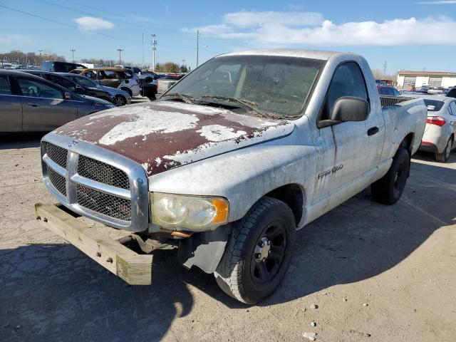 2002 Dodge Ram 1500 VIN: 1D7HA16K12J202475 Lot: 56106403