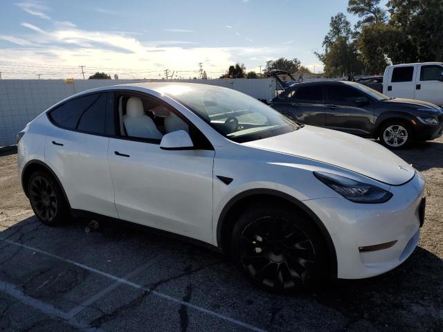 5YJYGDEE1MF130113 Tesla Model Y