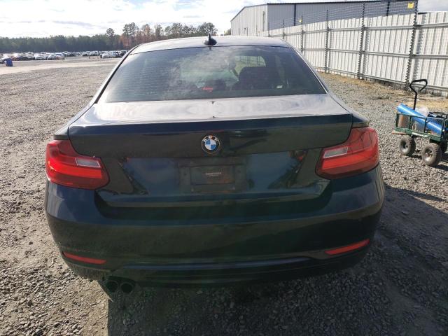 2015 BMW 228 I WBA1F5C50FV257014