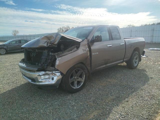 Dodge RAM 1500 salvage cars for sale: 2010 Dodge RAM 1500
