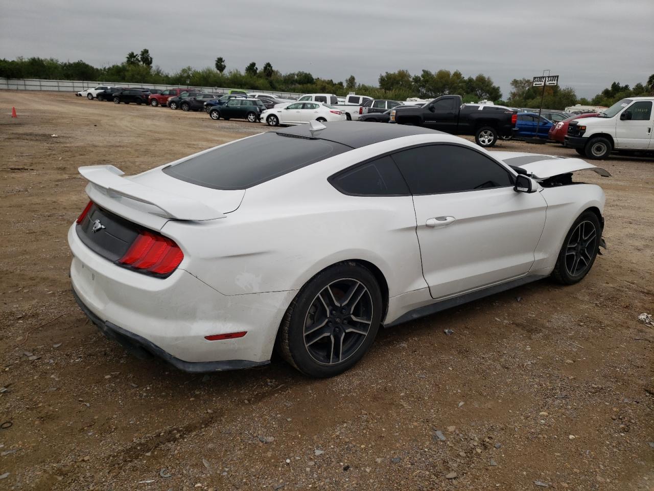 1FA6P8THXM5112728 FORD ALL Models 2021