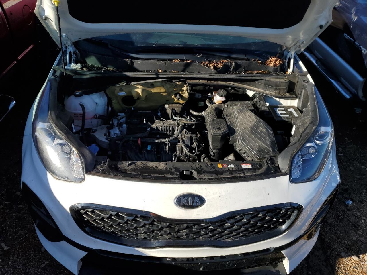 2021 Kia Sportage S VIN: KNDP63AC3M7914022 Lot: 65174402
