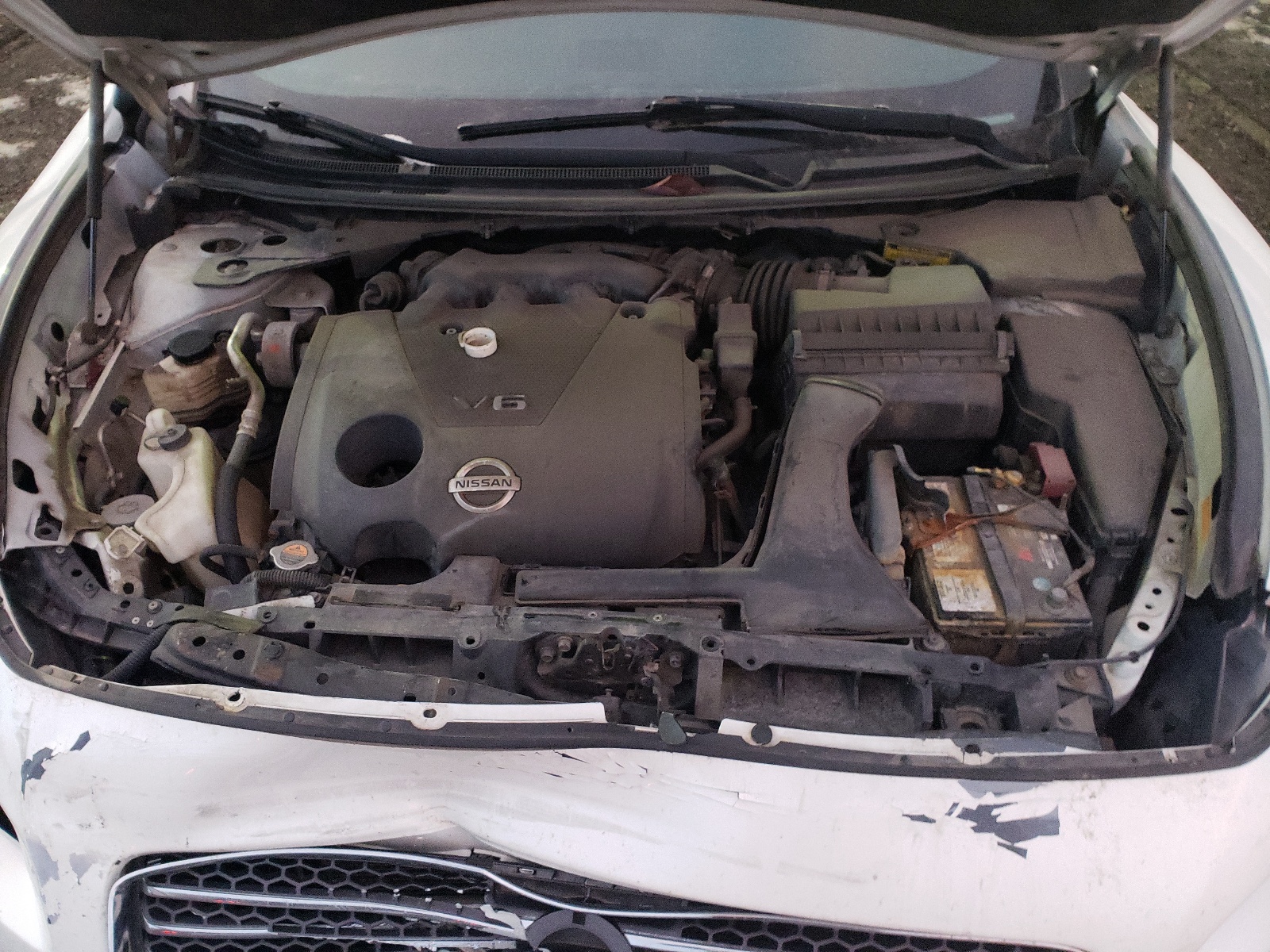 1N4AA5AP4AC865604 2010 Nissan Maxima S