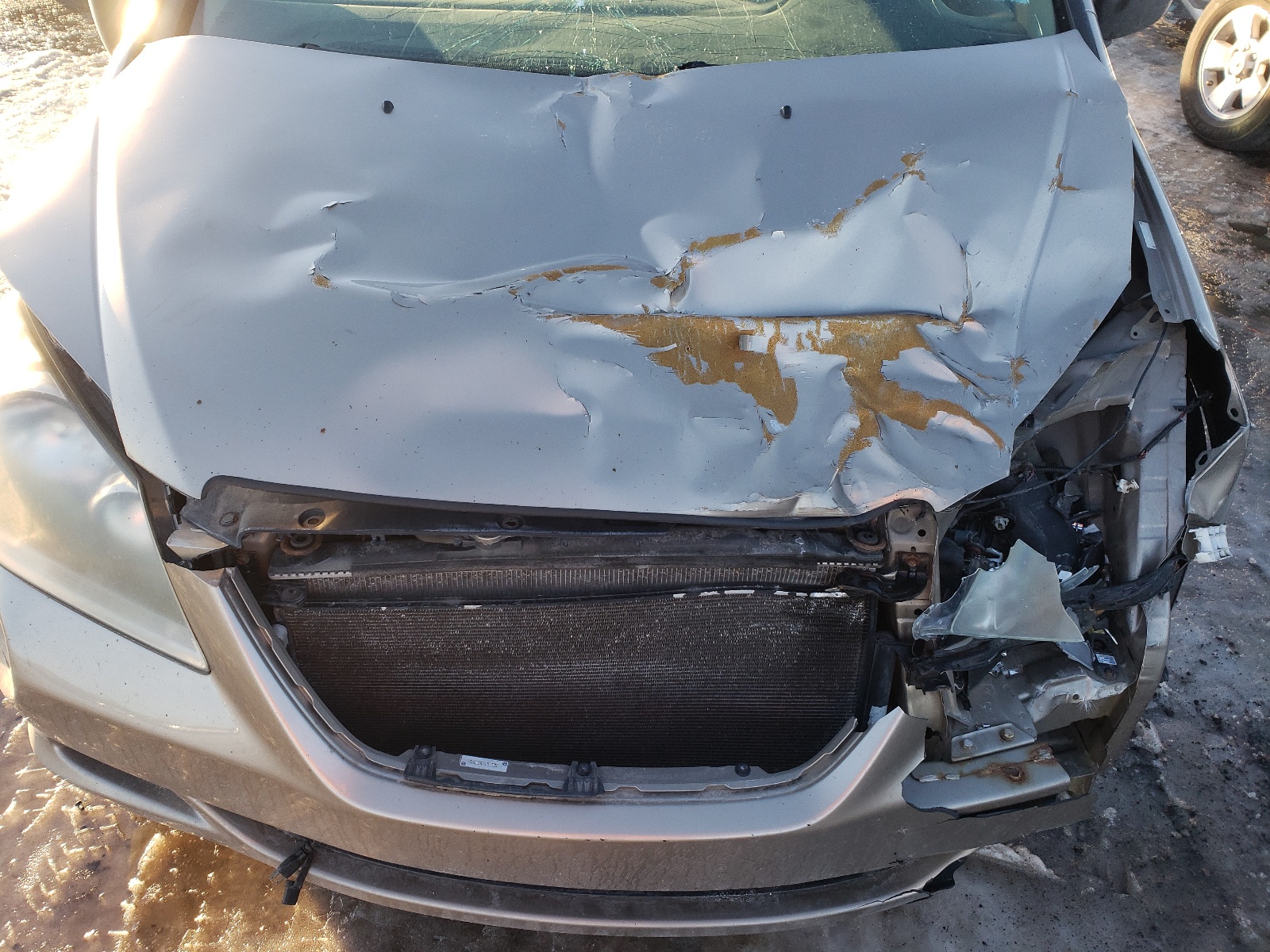 5FNRL38285B503533 2005 Honda Odyssey Lx