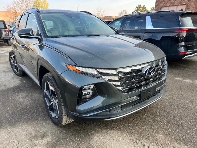 2022 HYUNDAI TUCSON LUX KM8JCCA19NU034924