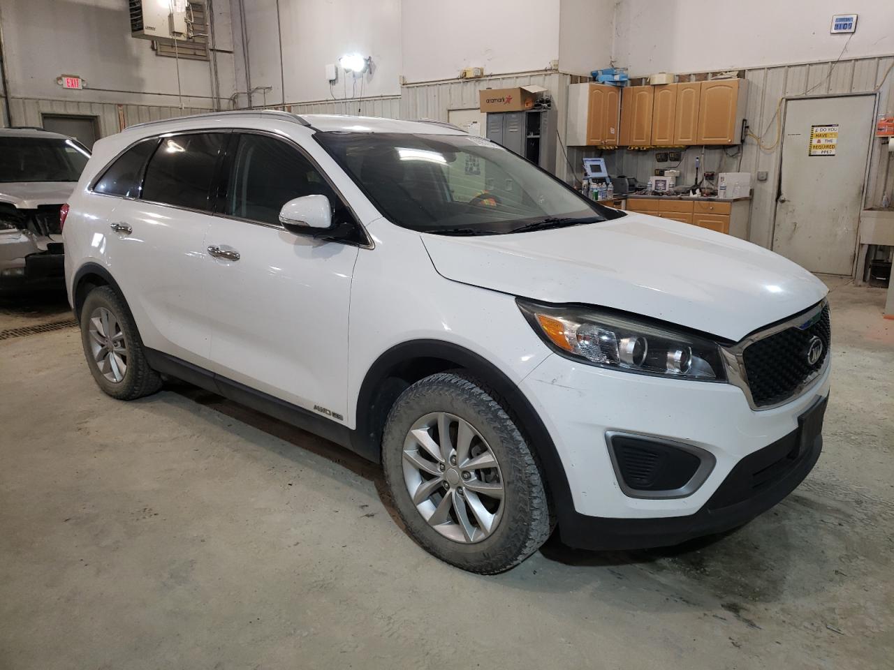 2016 Kia Sorento Lx VIN: 5XYPGDA54GG034412 Lot: 62600244