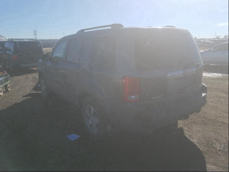 2010 HONDA PILOT EXL 5FNYF4H59AB008562