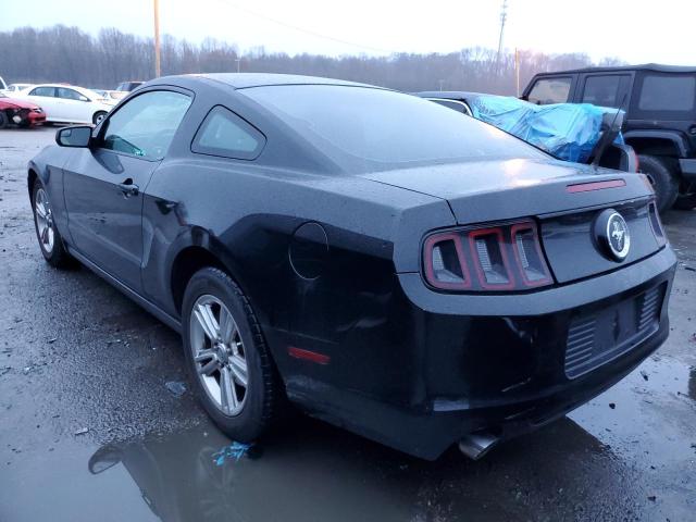 1ZVBP8AM4E5203159 2014 FORD MUSTANG - Image 2