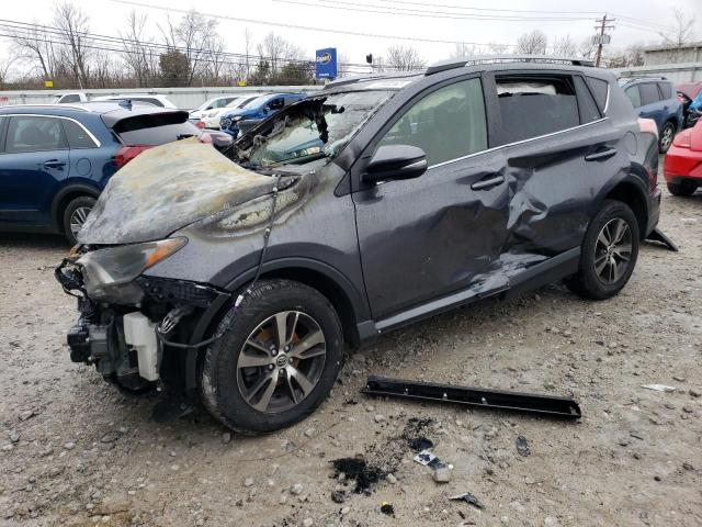 Salvage cars for sale from Copart Walton, KY: 2017 Toyota Rav4 XLE