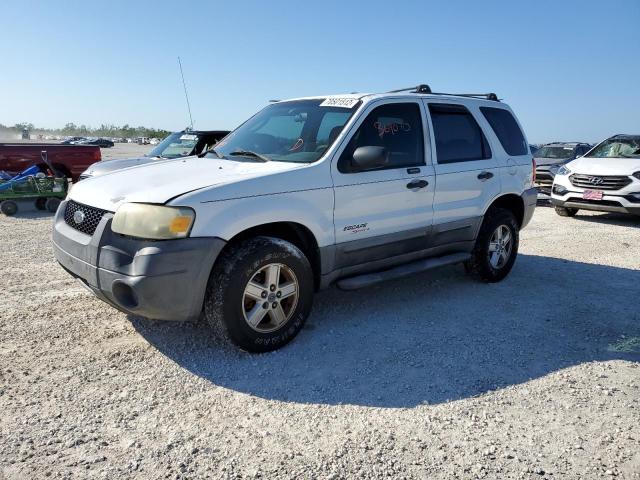 Ford Escape salvage cars for sale: 2005 Ford Escape XLS