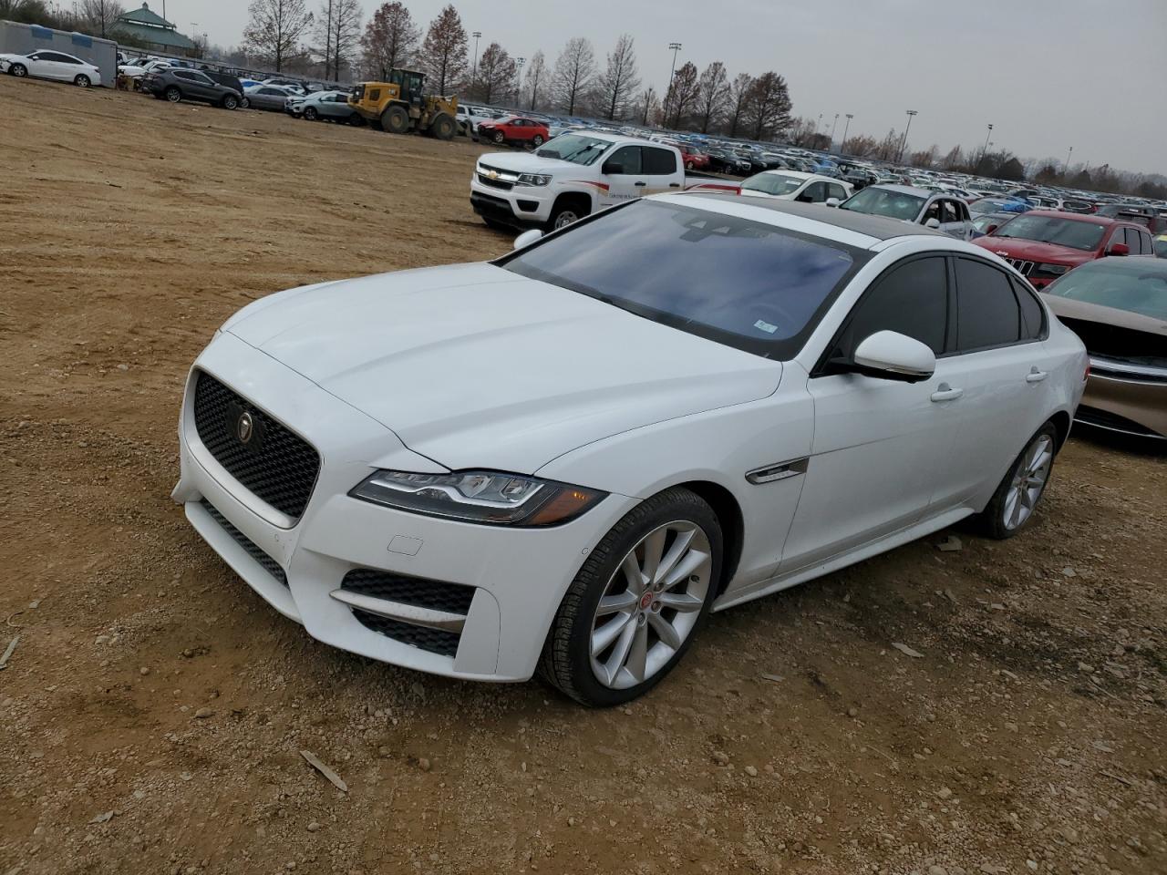 SAJBL4BV8HCY48901 JAGUAR XF R - SPO 2017