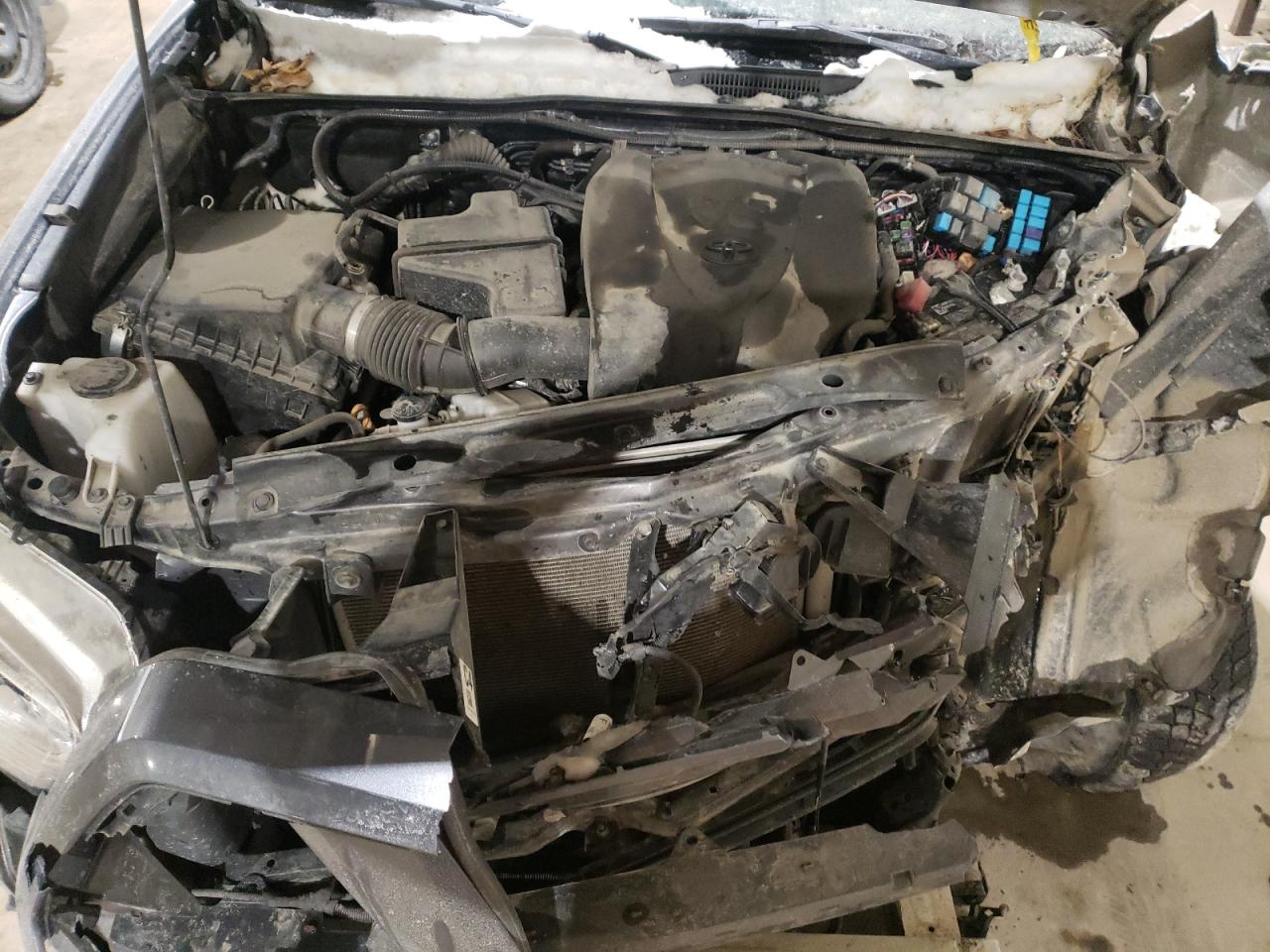 5TFDZ5BN1MX056572 TOYOTA TACOMA 2021