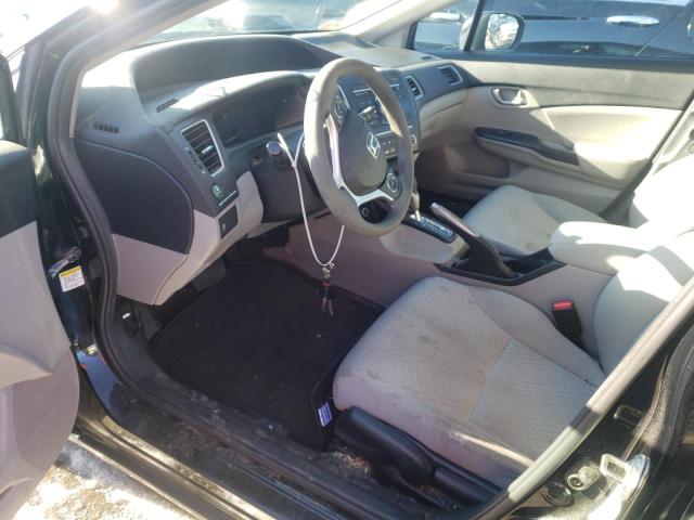 Car photos