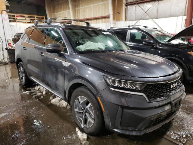 2022 KIA SORENTO S - KNDRGDLG8N5103356