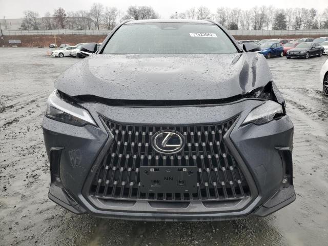 2022 LEXUS NX 250 JTJADCAZ5N5001062