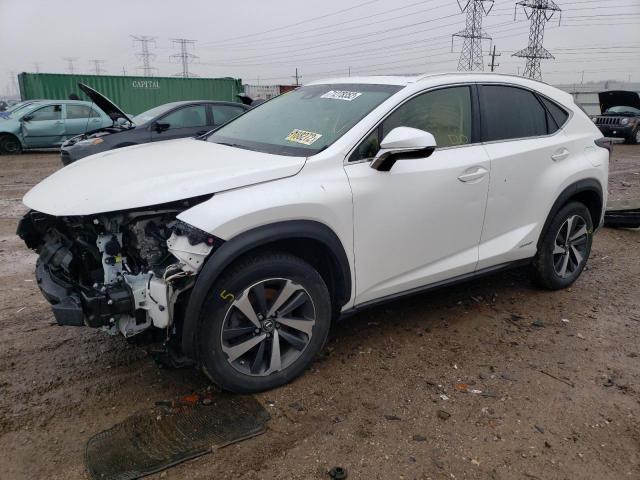 2019 LEXUS NX 300H - JTJBJRBZXK2120074