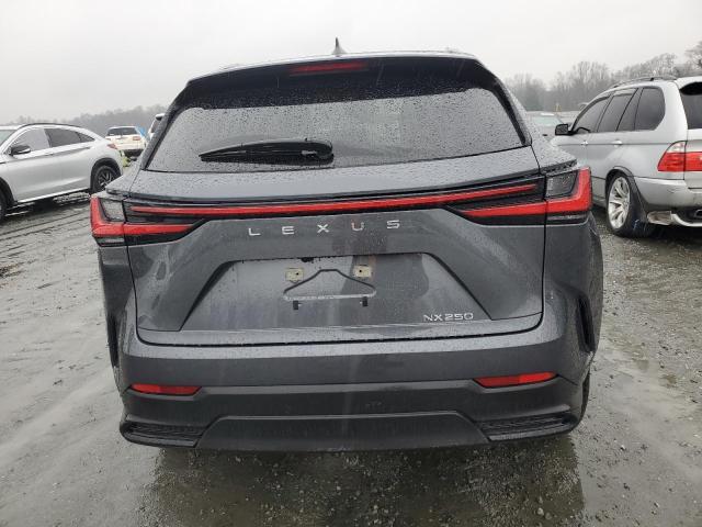 2022 LEXUS NX 250 JTJADCAZ5N5001062