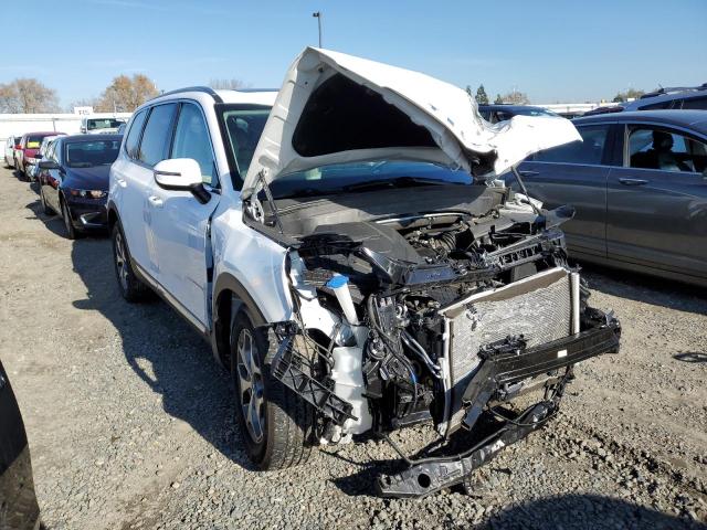 2020 KIA TELLURIDE - 5XYP3DHC2LG080816