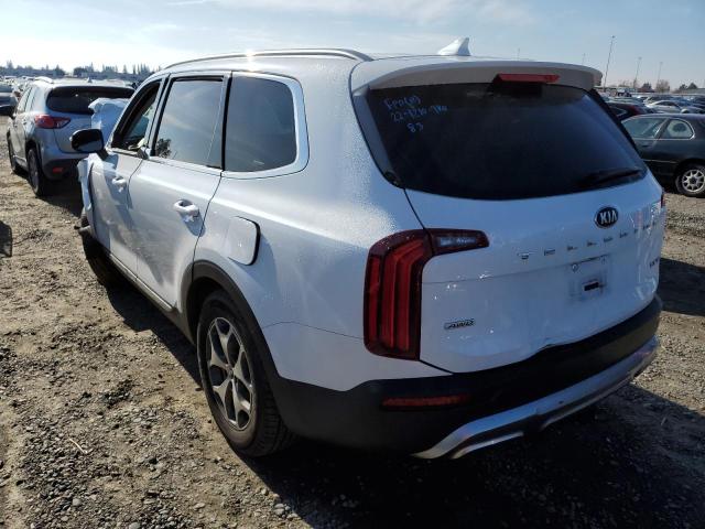 2020 KIA TELLURIDE - 5XYP3DHC2LG080816