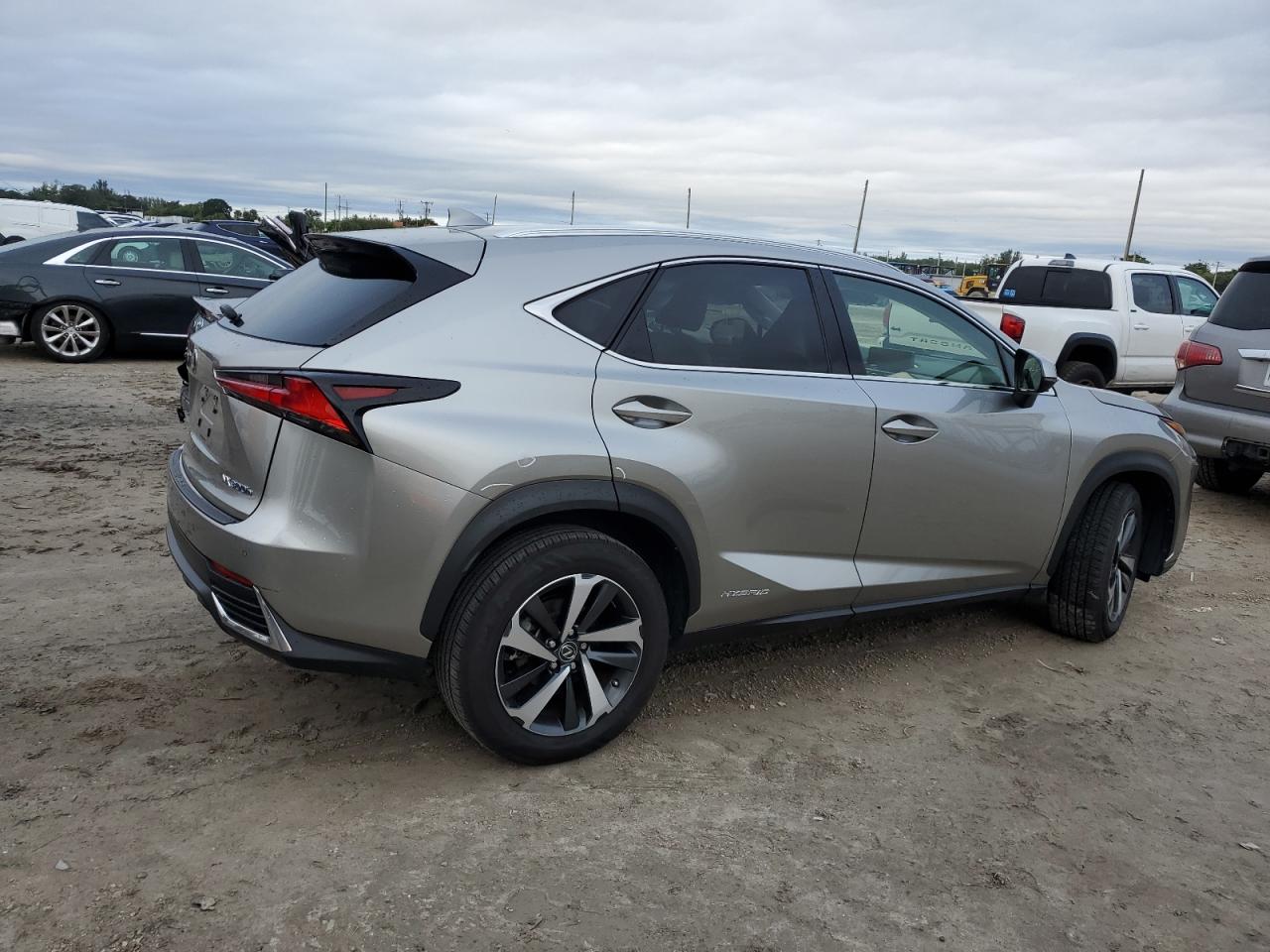 JTJGJRDZ5L5008088 2020 Lexus Nx 300H