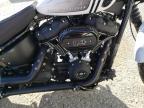 2021 Harley-Davidson Fxbbs