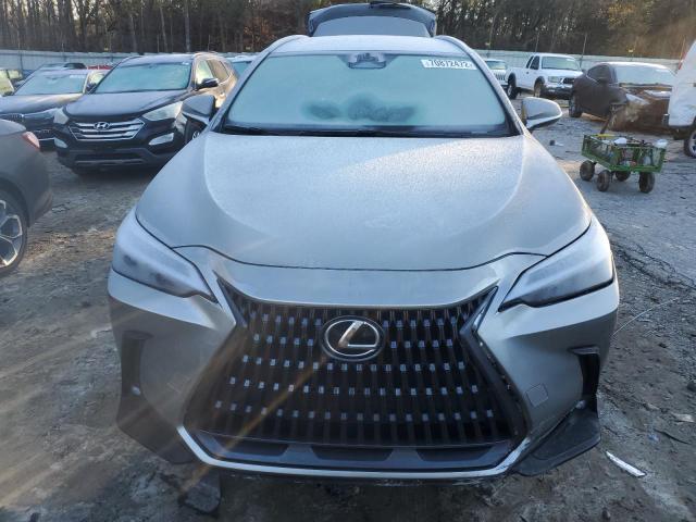 2022 LEXUS NX 250 JTJADCAZ6N5000910