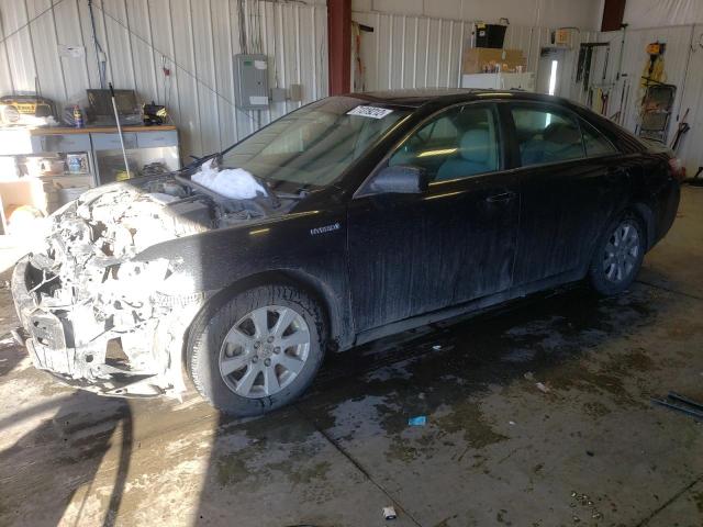 Toyota Camry salvage cars for sale: 2008 Toyota Camry Hybrid