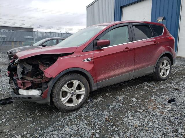 Vin: 1fmcu0gx8euc39778, lot: 72305572, ford escape se 2014 img_1