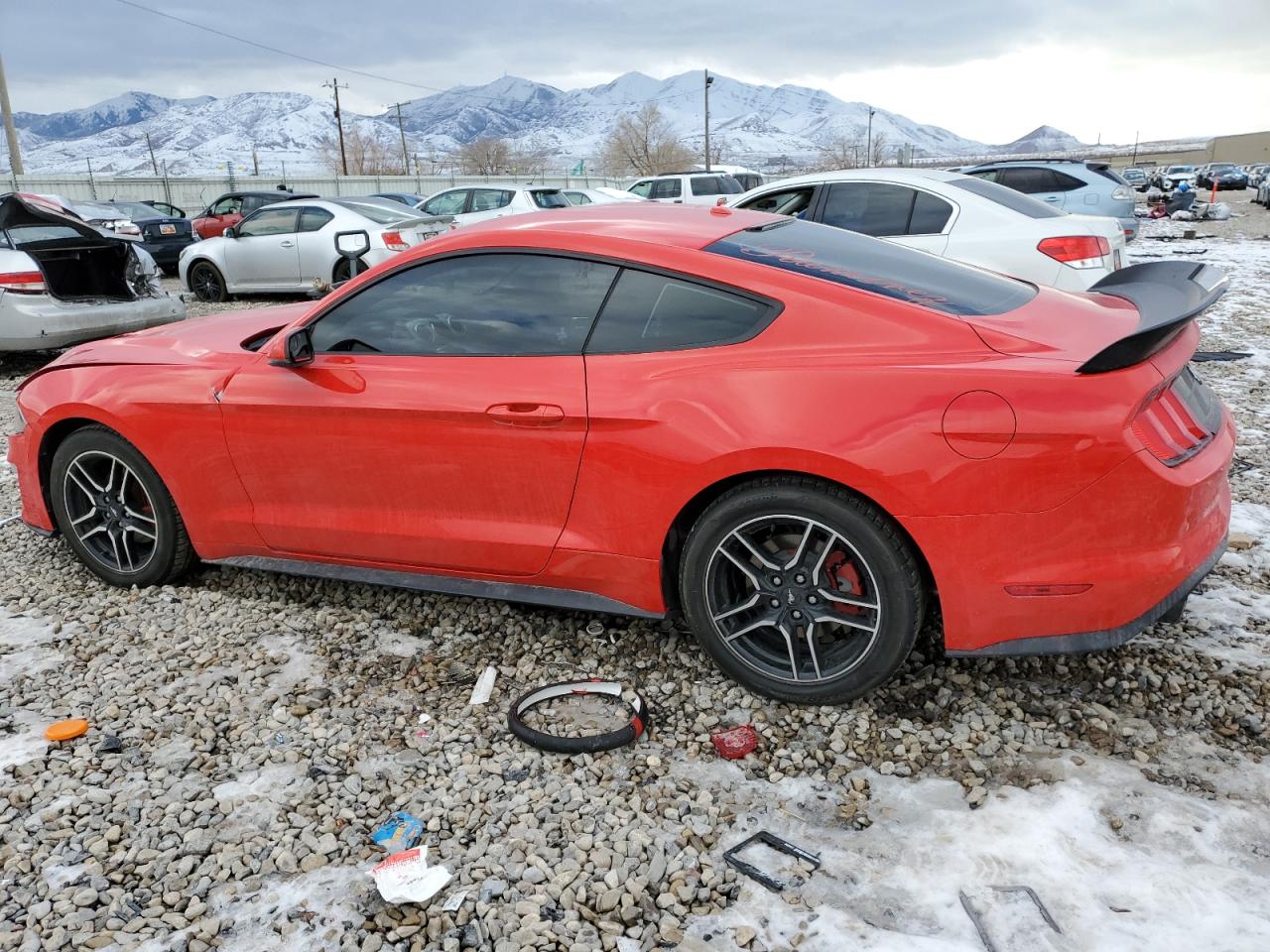 1FA6P8TH0K5151521 FORD ALL Models 2019
