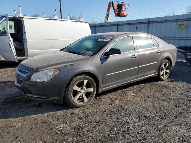 Lot #2411288086 2012 CHEVROLET MALIBU 1LT salvage car